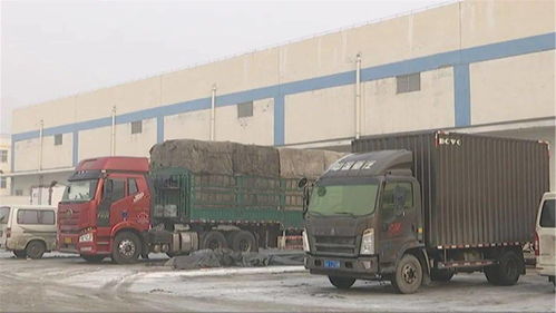 春节期间市场供应保障 食用农产品批发平稳运行