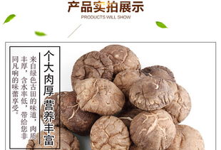 福建特产 富农园香菇208g 特级冬菇中的健康休闲美食