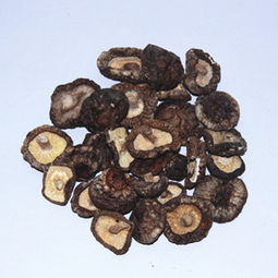 厂家直销，正宗庆元小香菇 食用菌干货批发新选择