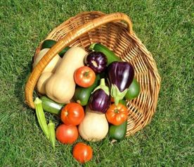 食品安全大于天，源头把关是关键——陕西省市场监管局召开食用农产品批发环节质量安全座谈会