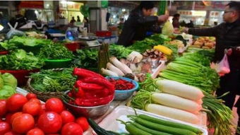 商务部 30种蔬菜价格加速回落 猪肉价格平稳